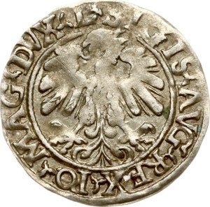 Lithuania Polgrosz 1559 Vilnius