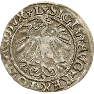 Lithuania Polgrosz 1560 Vilnius