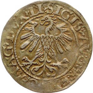 Lithuania Polgrosz 1560 Vilnius