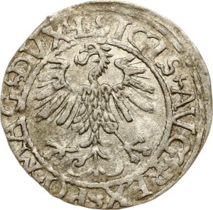 Lithuania Polgrosz 1561 Vilnius