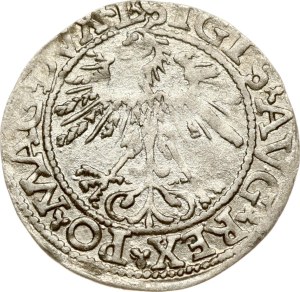 Lithuania Polgrosz 1562 Vilnius (R)