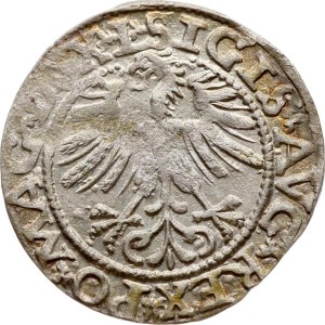 Lithuania Polgrosz 1562 Vilnius