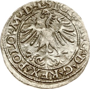 Lithuania Polgrosz 1563 Vilnius