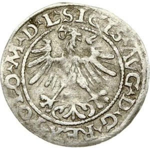 Lithuania Polgrosz 1564 Vilnius L/LITVAN (RRR) - Depicted in Catalogue
