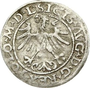 Lithuania Polgrosz 1564 Vilnius L/LITVAN (RRR) - Depicted in Catalogue