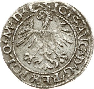 Lithuania Polgrosz 1564 Vilnius