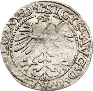 Lithuania Polgrosz 1564 Vilnius