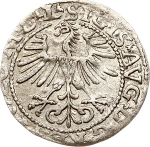 Lithuania Polgrosz 1564 Vilnius