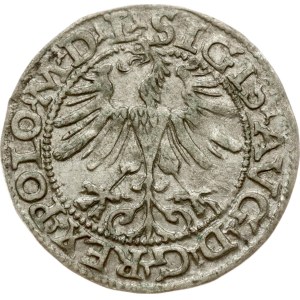 Lithuania Polgrosz 1565 Vilnius