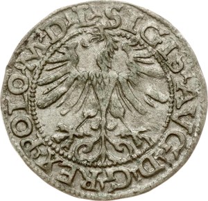 Lithuania Polgrosz 1565 Vilnius