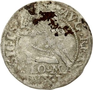 Lithuania Grosz 1568 Tykocin LITV Depicted in Catalogue