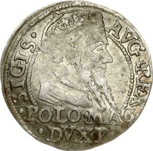 Lithuania Grosz 1568 Tykocin L/LIT (R)