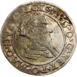 Lithuania Czworak 1569 Vilnius (R1)