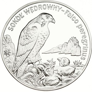 Poland 20 Zlotych 2008 MW Sokol wedrowny (Falco peregrinus)