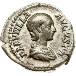 Roman Empire Denarius ND (202-205)