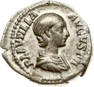 Roman Empire Denarius ND (202-205)