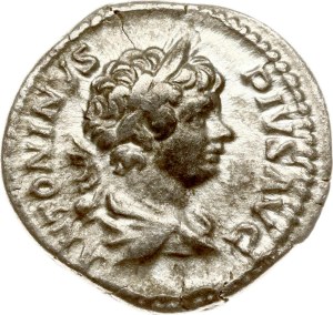 Roman Empire Denarius ND (202)