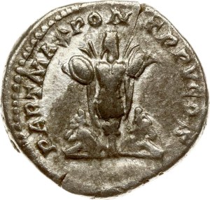 Roman Empire Denarius ND (202)