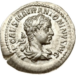 Roman Empire Denarius ND (218)