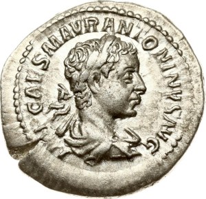 Roman Empire Denarius ND (218)