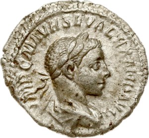 Roman Empire Denarius ND (223)