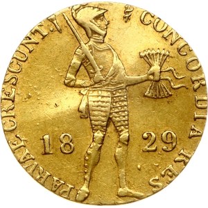 Imitation of Netherlands Ducat 1829