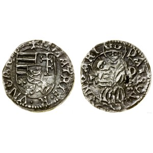 Hungary, denarius, ca. 1490, Kremnica