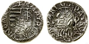 Hungary, denarius, ca. 1490, Kremnica