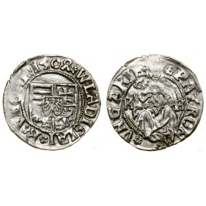 Hungary, denarius, 1504 K-H, Kremnica