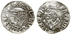 Hungary, denarius, 1504 K-H, Kremnica