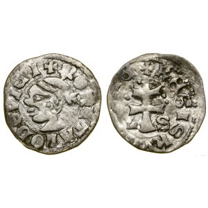 Polska, denar, (1358-1366)