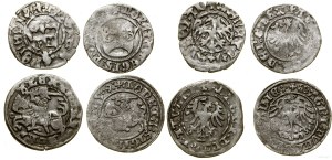 Poland, set of 4 Jagiellonian half-pennies