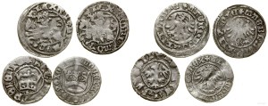 Poland, set of 4 Jagiellonian half-pennies