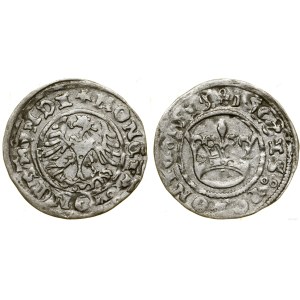 Polska, półgrosz, 1508, Kraków