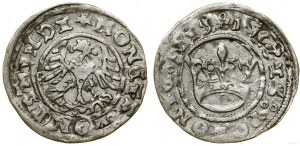 Poland, half-penny, 1508, Cracow