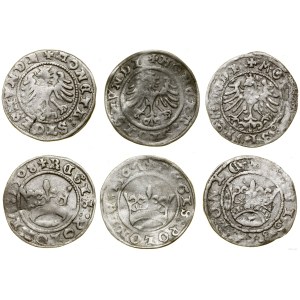 Polska, zestaw: 3 x półgrosz, 1507-1508, Kraków