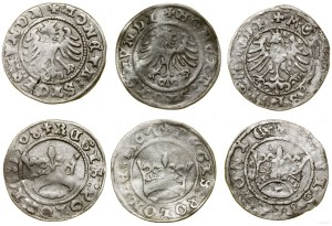 Poland, set: 3 x half-penny, 1507-1508, Cracow