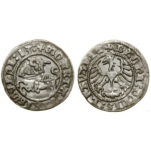 Polska, półgrosz, 1513, Wilno
