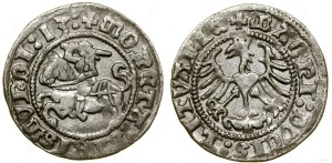 Poland, half-penny, 1513, Vilnius