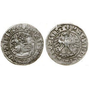 Polska, półgrosz, 1520, Wilno