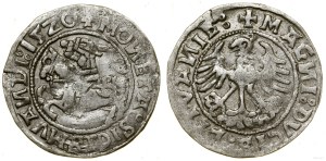Poland, half-penny, 1520, Vilnius