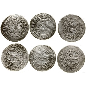 Polska, zestaw: 3 x półgrosz, 1513, 1514, 152?, Wilno