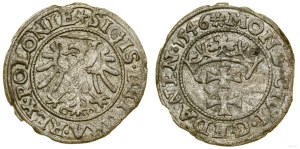 Poland, sheląg, 1546, Gdansk