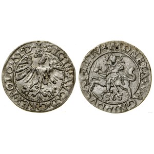 Polska, półgrosz, 1565, Wilno