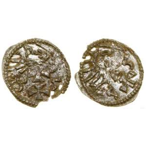 Polska, denar, 1555, Gdańsk