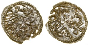 Poland, denarius, 1555, Gdansk
