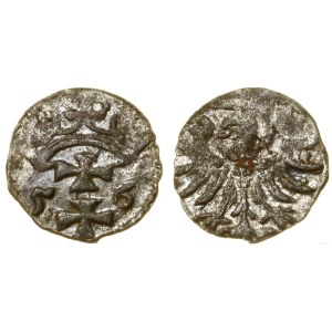 Polska, denar, 1556, Gdańsk