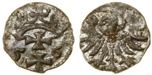 Poland, denarius, 1556, Gdansk