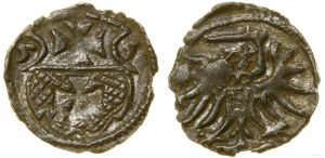Poland, denarius, 1555, Elbląg