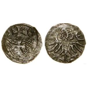 Polska, denar, 1557, Elbląg